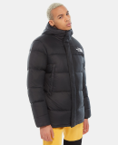 THE NORTH FACE - M DEPTFORD DOWN JKT
