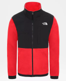 THE NORTH FACE - M DENALI JACKET 2