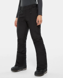 THE NORTH FACE - W PRESENA PANT REG