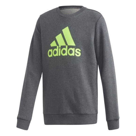 ADIDAS  - JB MH CREW