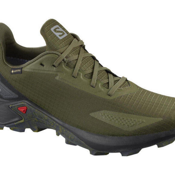 SALOMON - M ALPHACROSS BLAST GTX