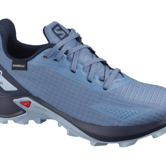 SALOMON - J ALPHACROSS BLAST CSWP