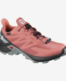 SALOMON - W SPEEDCROSS BLAST GTX