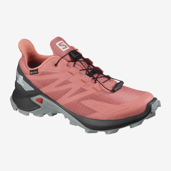 SALOMON - W SPEEDCROSS BLAST GTX