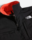 THE NORTH FACE - M DENALI 2 FLEECE JKT