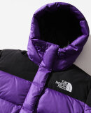 THE NORTH FACE - W HIMALAYAN PARKA