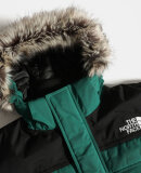 THE NORTH FACE - M MC MURDO 2