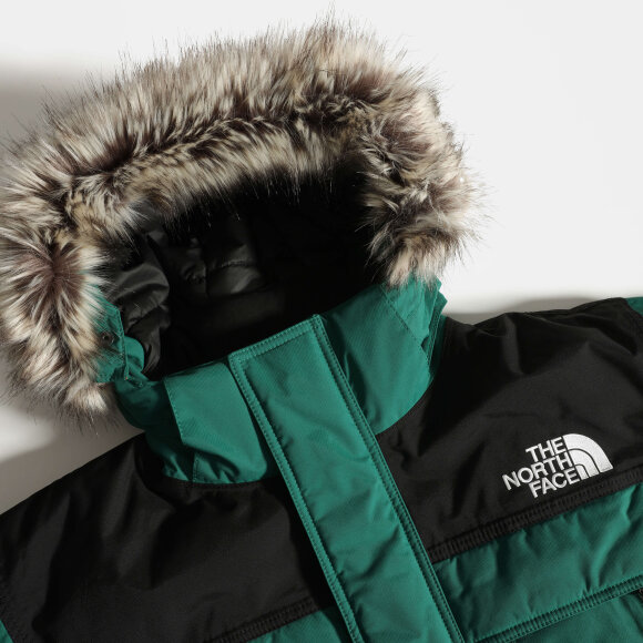 THE NORTH FACE - M MC MURDO 2