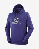 SALOMON - U OUTLIFE LOGO PULLOVER HOODY