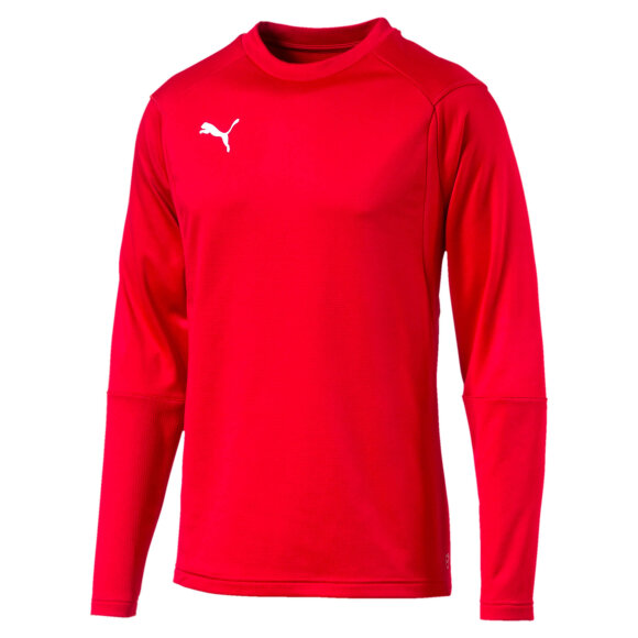 PUMA DENMARK - M LIGA TRAINING SWEAT