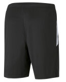 PUMA DENMARK - M TEAMLIGA TRAINING SHORTS