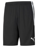 PUMA DENMARK - M TEAMLIGA TRAINING SHORTS