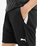 PUMA DENMARK - M TEAMLIGA TRAINING SHORTS