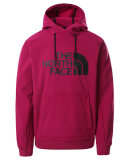 THE NORTH FACE - M LOGO HOODIE