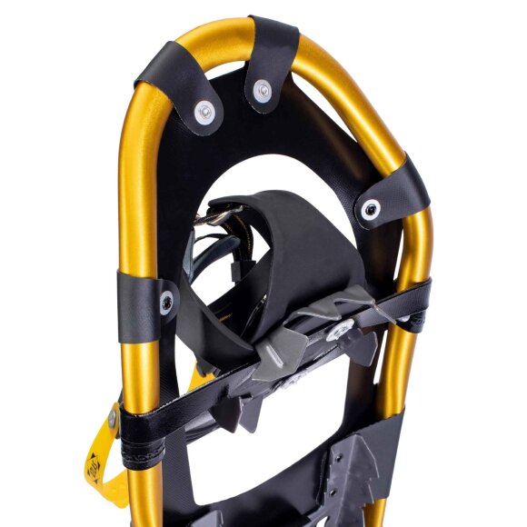 INTERSURF - M ATLAS MONTANE