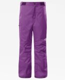 THE NORTH FACE - G FREE INSULATED PANT