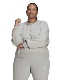 ADIDAS  - W SWEATSHIRT PLUS SIZE