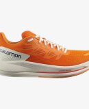 SALOMON - M SPECTUR