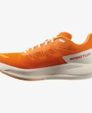 SALOMON - M SPECTUR