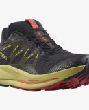 SALOMON - M PULSAR TRAIL GTX