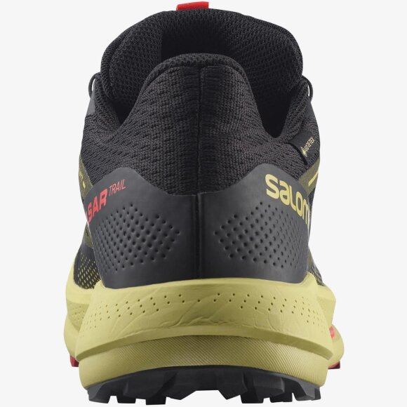 SALOMON - M PULSAR TRAIL GTX