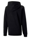 PUMA DENMARK - JR TEAMGOAL 23 CASUAL HOODY