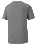 PUMA DENMARK - JR TEAMGOAL 23 CASUAL TEE PUMA DENMARK - JR TEAMGOAL 23 CASUAL TEE