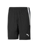 PUMA DENMARK - M TEAMLIGA SHORTS