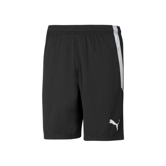 PUMA DENMARK - M TEAMLIGA SHORTS