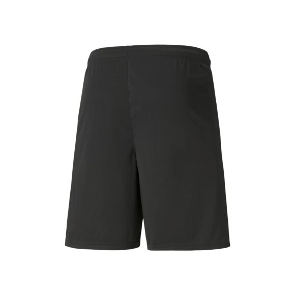 PUMA DENMARK - M TEAMLIGA SHORTS