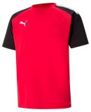 PUMA DENMARK - M TEAMPACER JERSEY