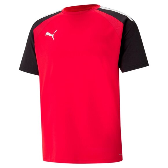 PUMA DENMARK - M TEAMPACER JERSEY