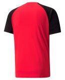 PUMA DENMARK - M TEAMPACER JERSEY