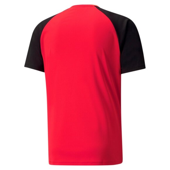 PUMA DENMARK - M TEAMPACER JERSEY