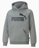 PUMA DENMARK - B ESSENTIAL BIG LOGO HOODIE