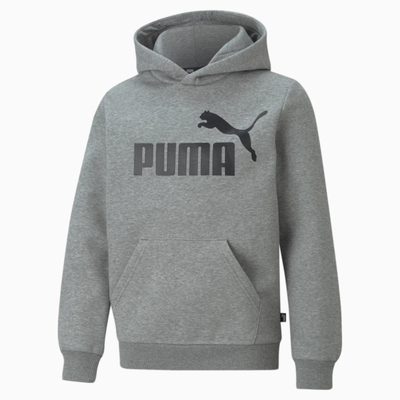 PUMA DENMARK - B ESSENTIAL BIG LOGO HOODIE