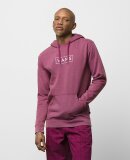 VANS - M EASY WASH PO HOODIE