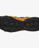 SALOMON - M SPEEDCROSS 6