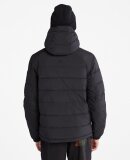 TIMBERLAND - M OA PUFFER JACKET