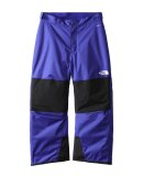 THE NORTH FACE - B FREEDOM INSULATED PANT