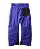 THE NORTH FACE - B FREEDOM INSULATED PANT