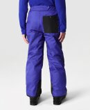 THE NORTH FACE - B FREEDOM INSULATED PANT