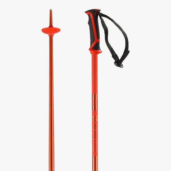 SALOMON - ARCTIC POLES 