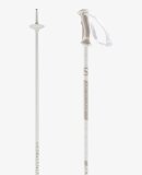 SALOMON - W ARCTIC POLES 