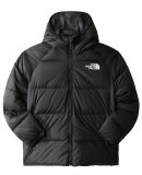 THE NORTH FACE - B PRINT NORTH DOWN JKT