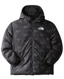 THE NORTH FACE - B PRINT NORTH DOWN JKT