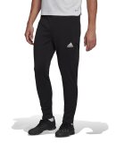 ADIDAS  - M CON22 TR PANTS