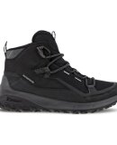 ECCO  - M ULT-TRN WATERPROOF