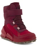 ECCO  - KIDS BIOM K2 GTX