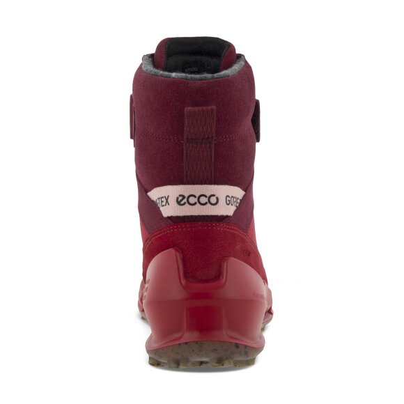 ECCO  - KIDS BIOM K2 GTX